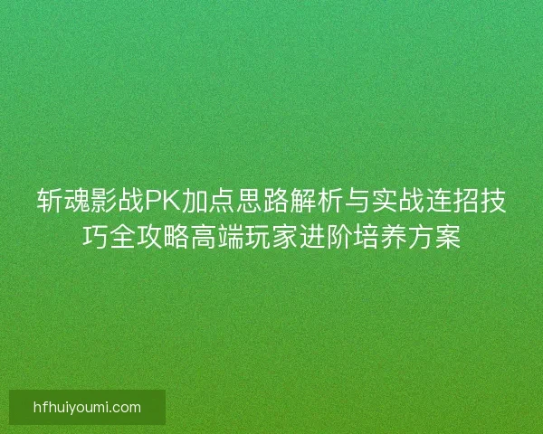 斩魂影战PK加点思路解析与实战连招技巧全攻略高端玩家进阶培养方案