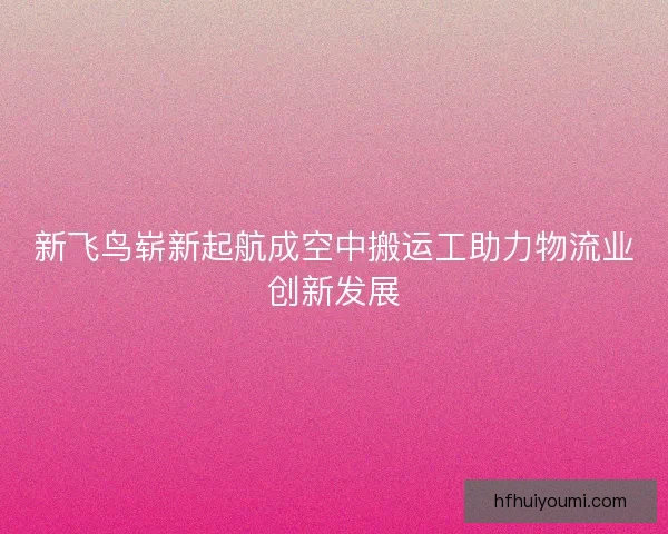新飞鸟崭新起航成空中搬运工助力物流业创新发展